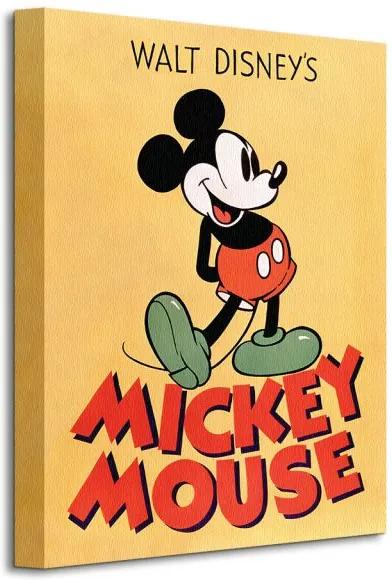 Vászonkép Disney Mickey Mouse (Mickey) 30x40cm WDC92485