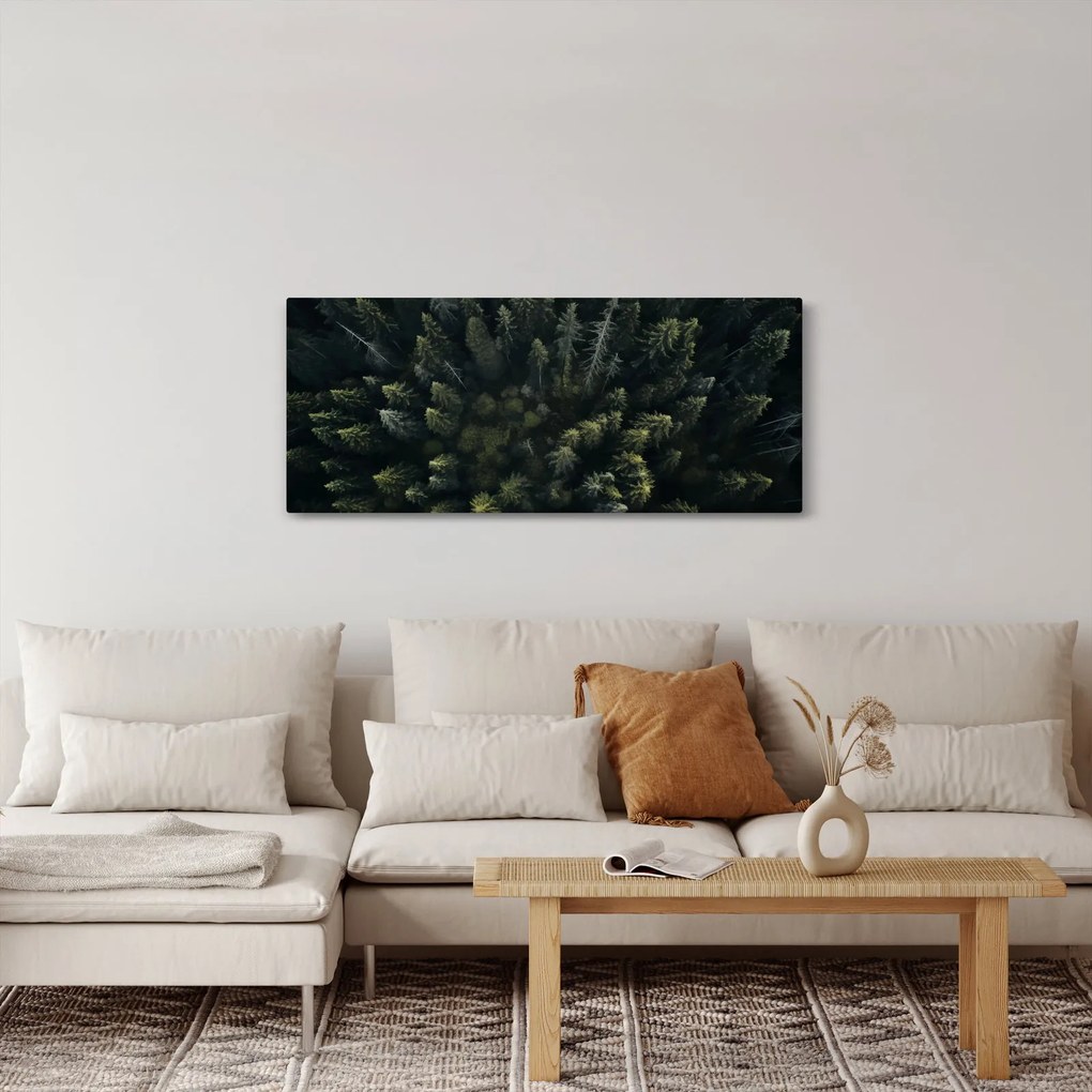 Kép - Forest (120x50 cm)