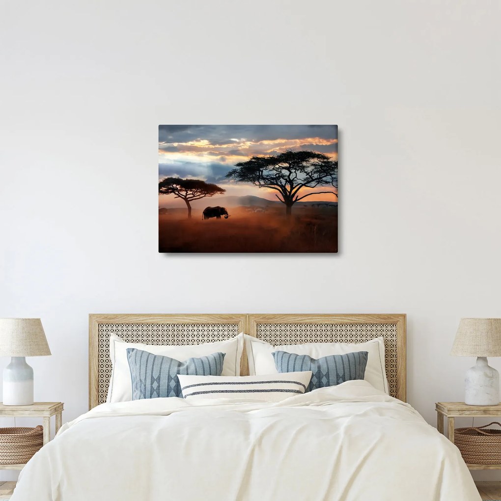 Kép - Serengeti Nemzeti Park, Tanzánia, Afrika (70x50 cm)