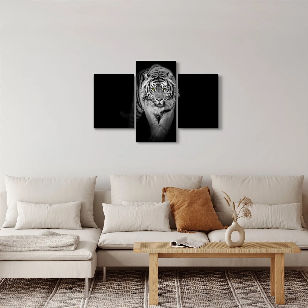 Kép - Sárga szemű tigris (90x60 cm)