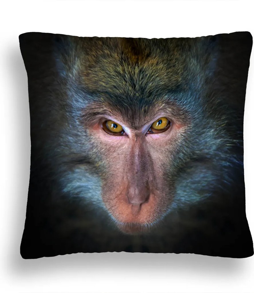 Párna Zw 20 Aranyos Majom 50 X 50