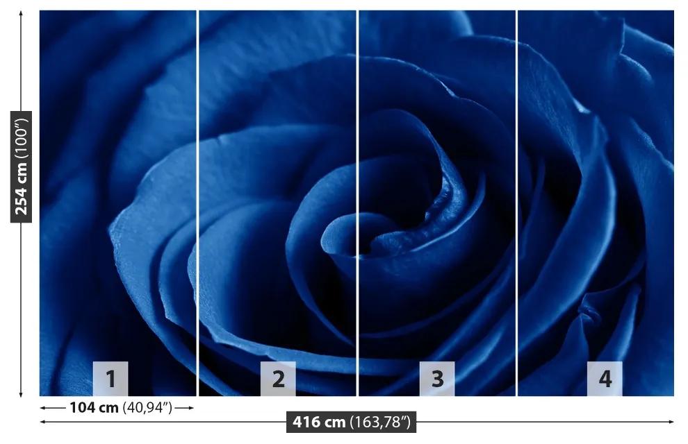 Fotótapéta Kék rózsa 104x70 cm