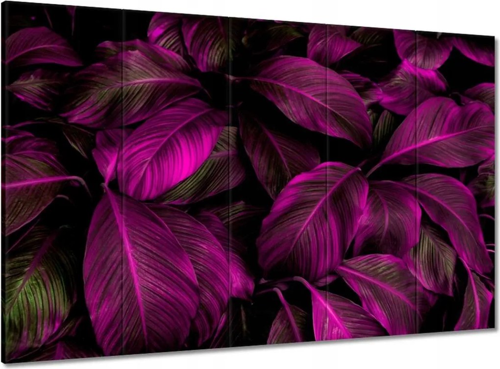 Vászonkép 100x70 Gyönyörű fukszia levelek