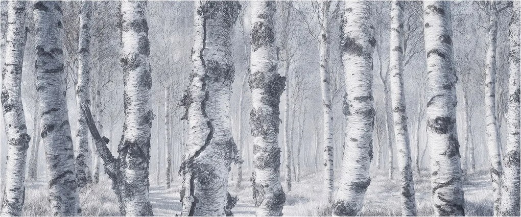 Fotótapéta Flizelin Hálószoba és Nappali Tapéta Fagyos természet 250x104