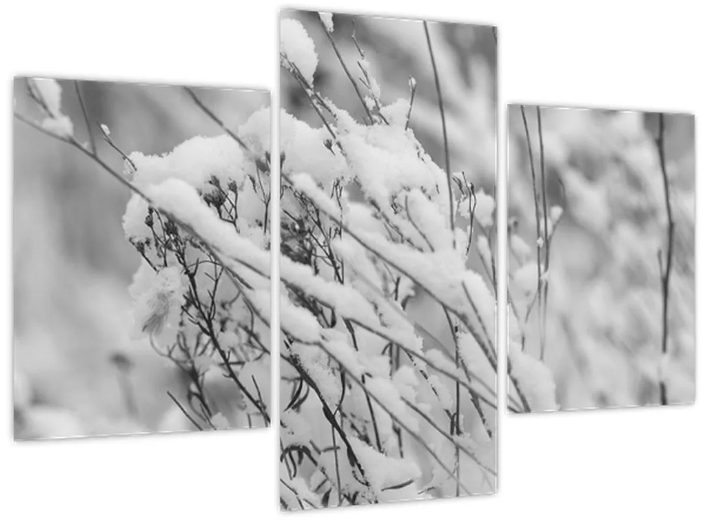 Kép - Havas ágak (90x60 cm)