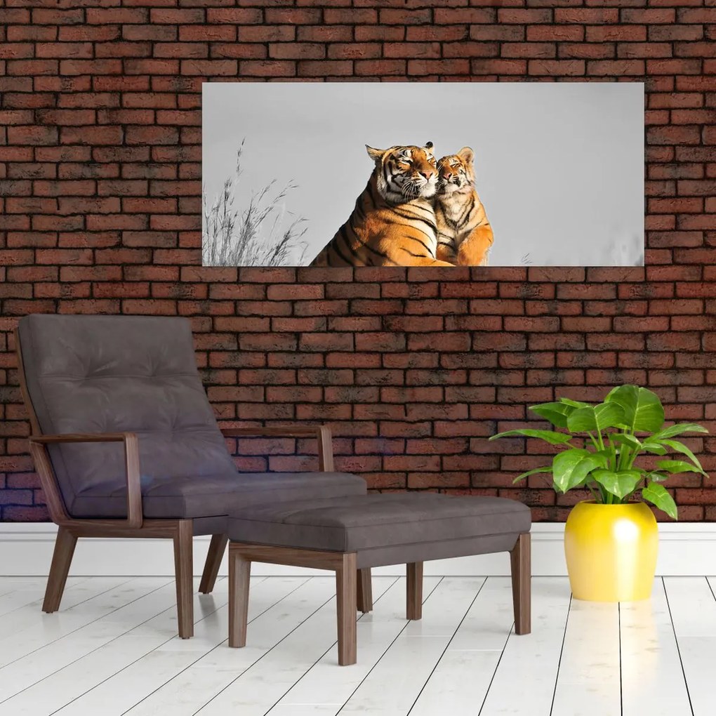 Kép - Tigris és a kölyke, fekete-fehér változat (120x50 cm)