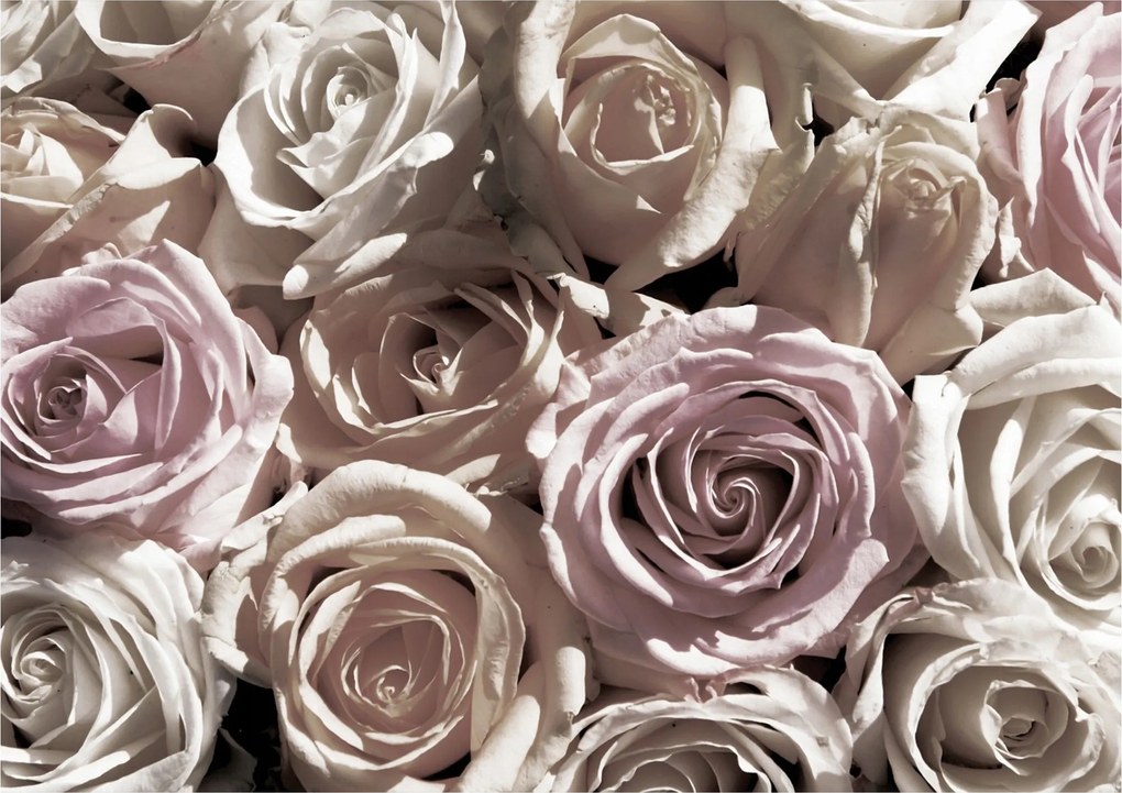 Fotótapéta Pasztell rózsák csokor elegancia hálószoba 416x254 +ragasztó