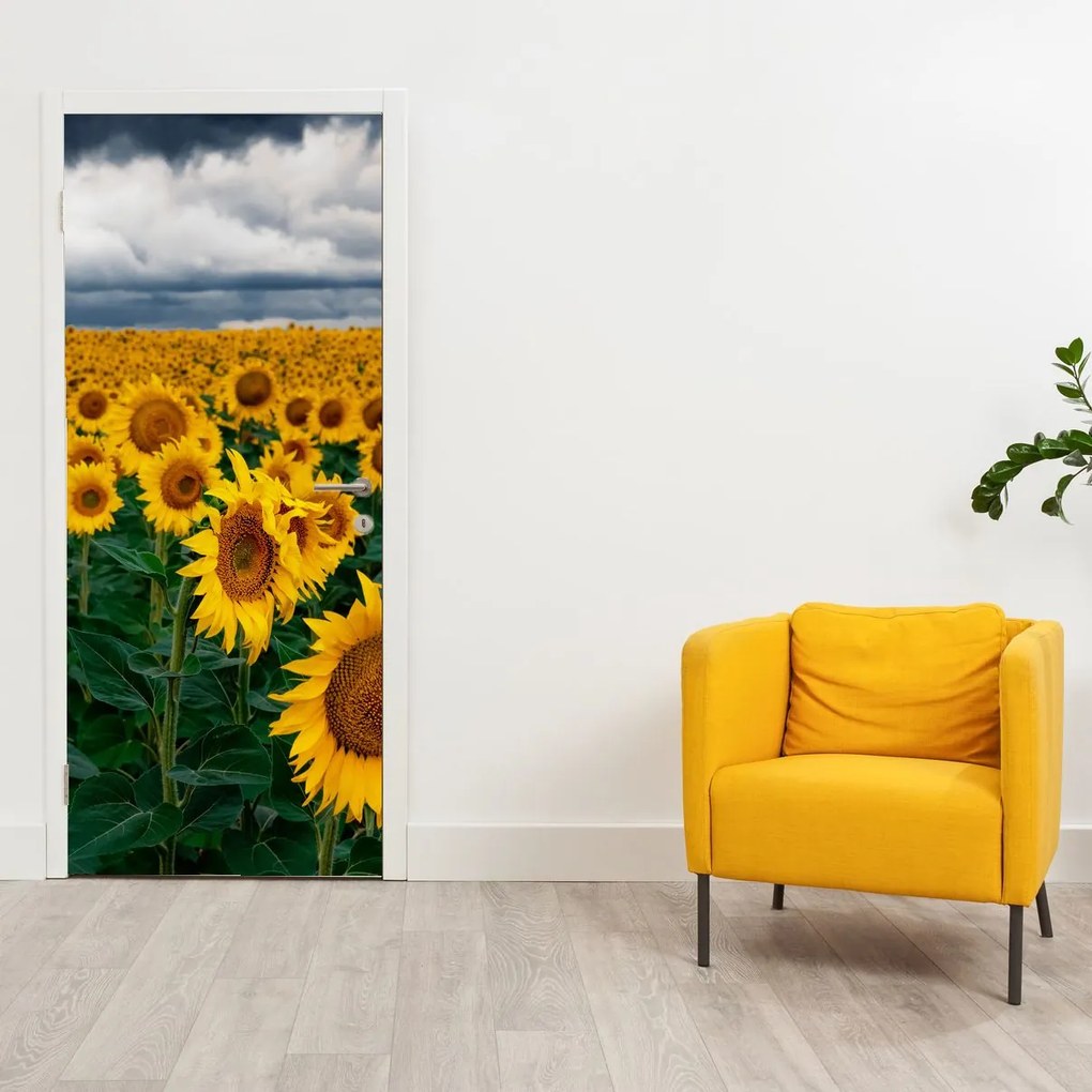 Fotótapéta ajtóra - Napraforgó mező (95x205cm)