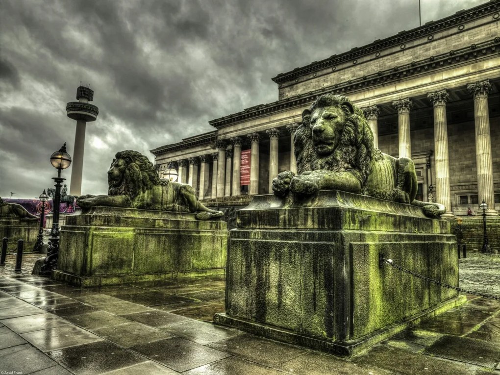 Poszter 40x30cm Oroszlán szobrok, Assaf Frank