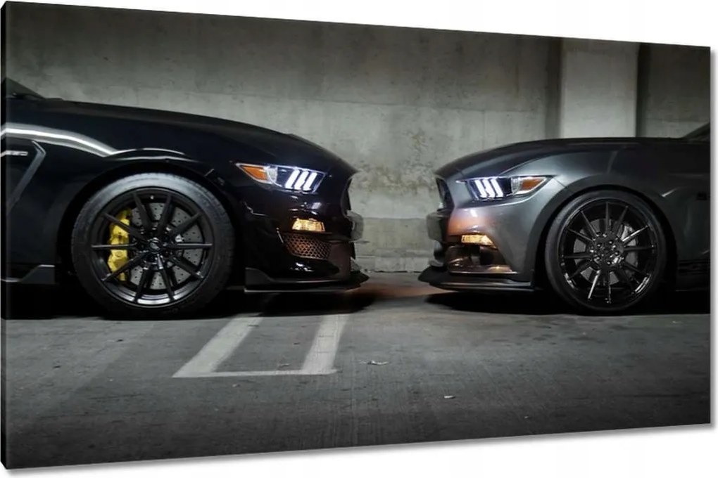 Képek 120x70 Ford Mustang made in Usa