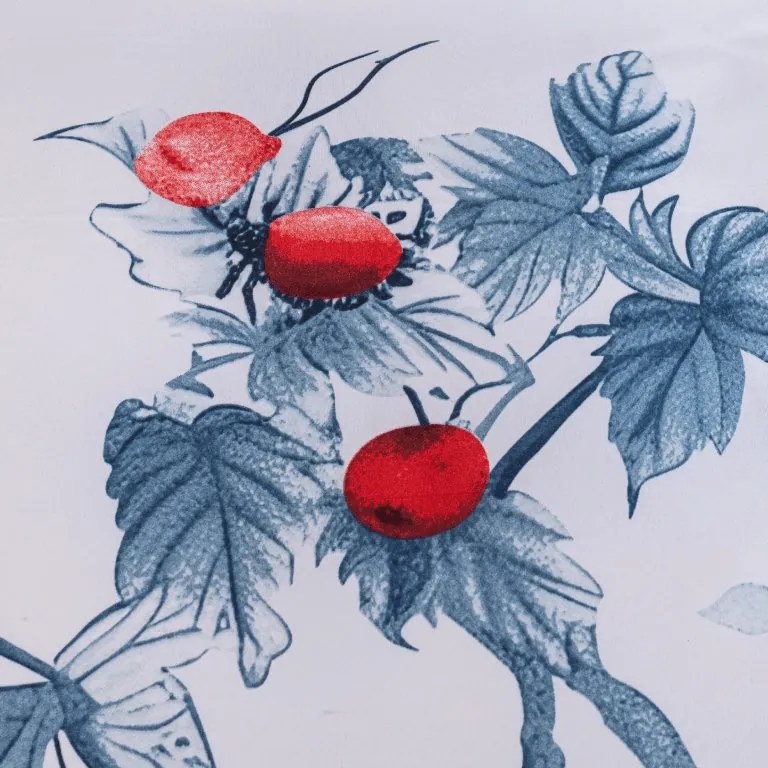 Flanel mikroszálas ágyneműhuzat BERRY BLOOM fehér-kék Ágyneműhuzat mérete: 70 x 90 cm | 140 x 200 cm