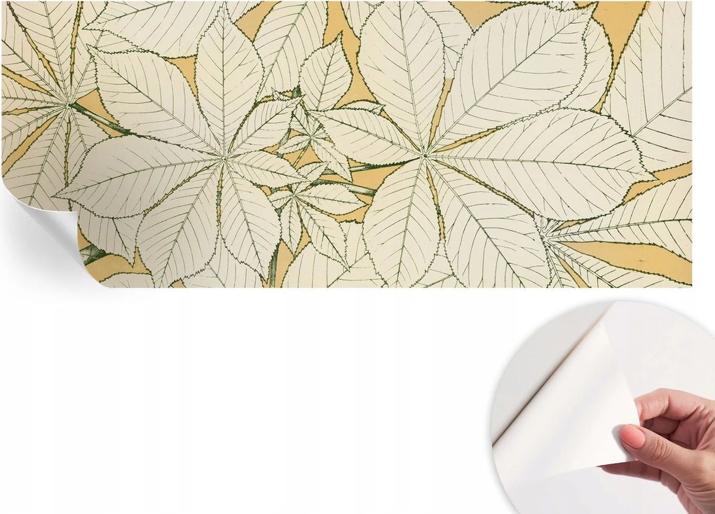 Fotótapéta Öntapadós Design Divatos Gesztenye levelek 250x104 cm
