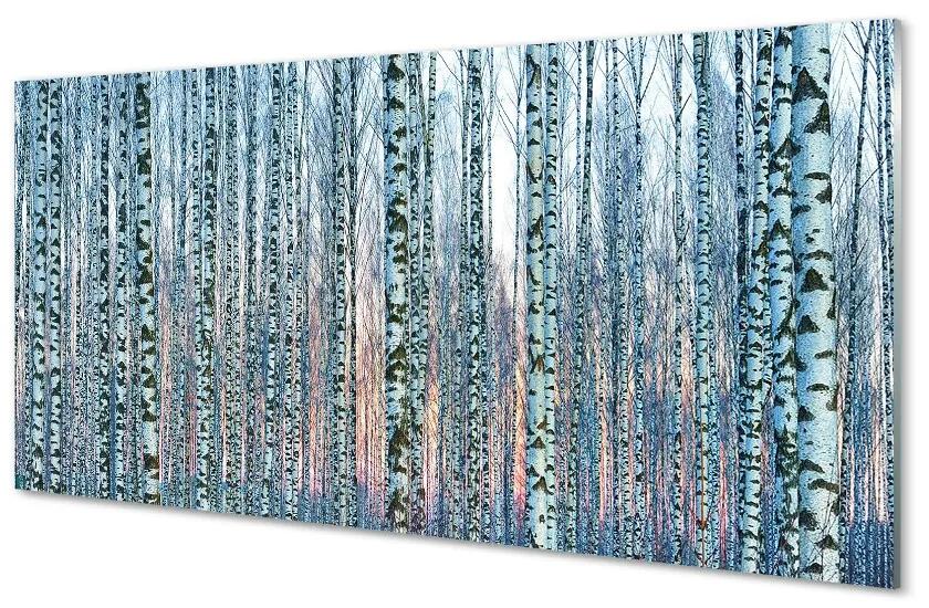 Üvegképek Nyírfa erdő naplemente 140x70 cm