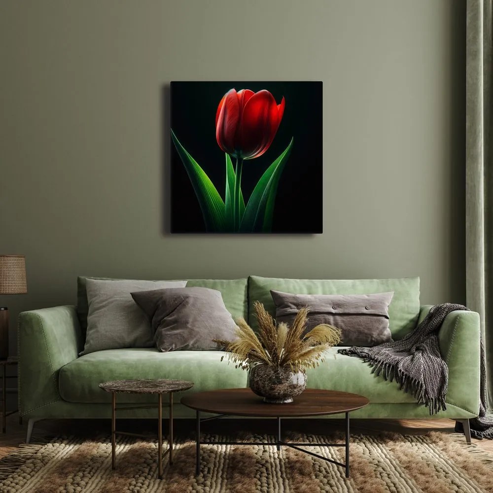 Kép tulipán virág éjjel