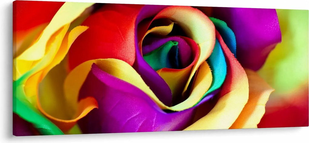 Kép - Színes rózsa (120x50 cm)