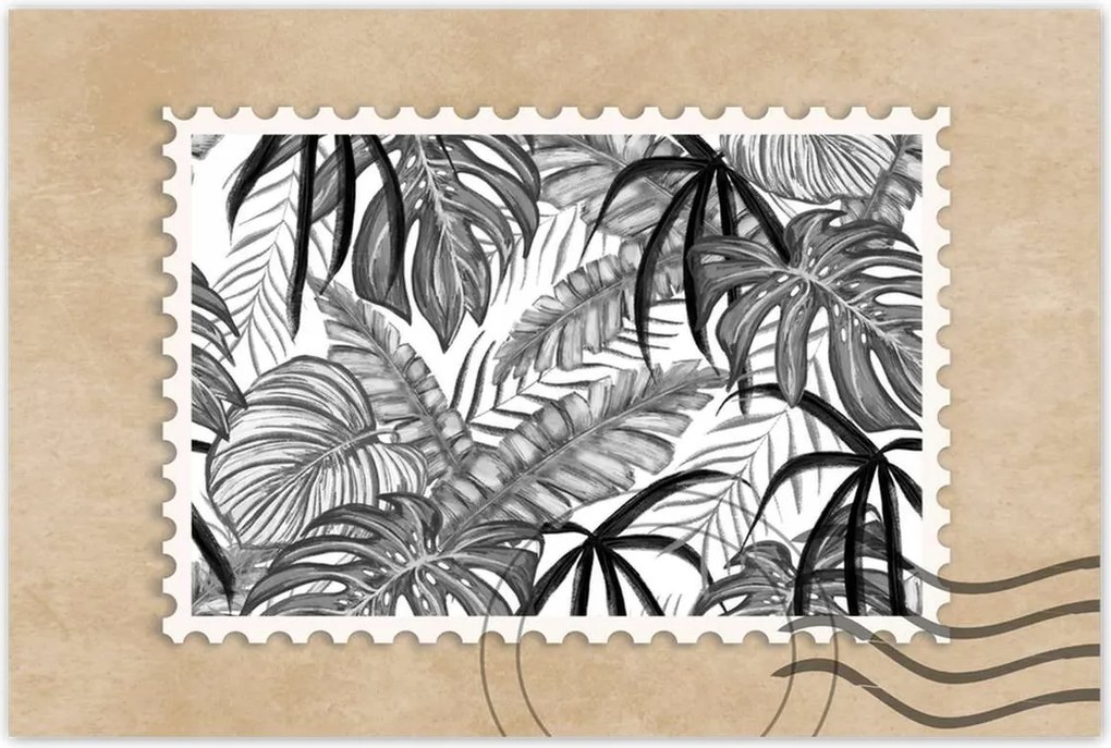 Poszter 60x40 Monstera Zöld levél