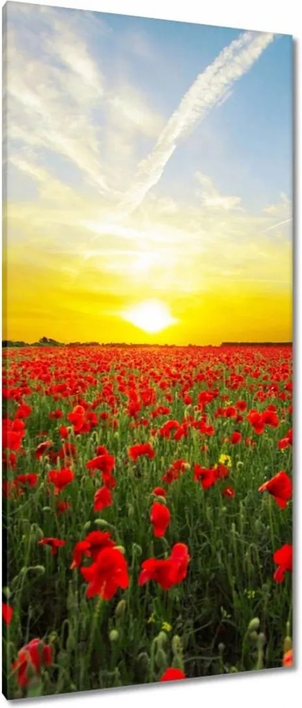 Vászonkép 55x115 Pipacsmező nyugattal