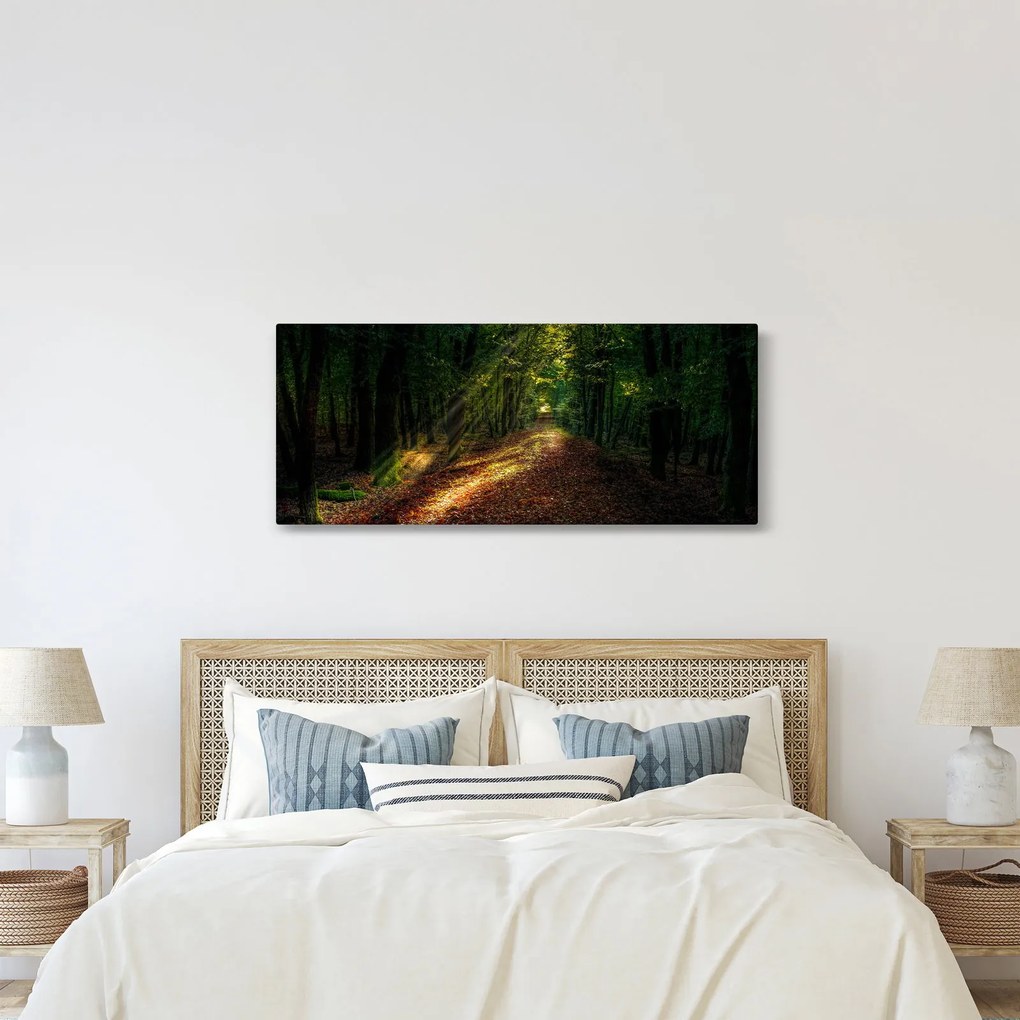 Erdei út képe (120x50 cm)