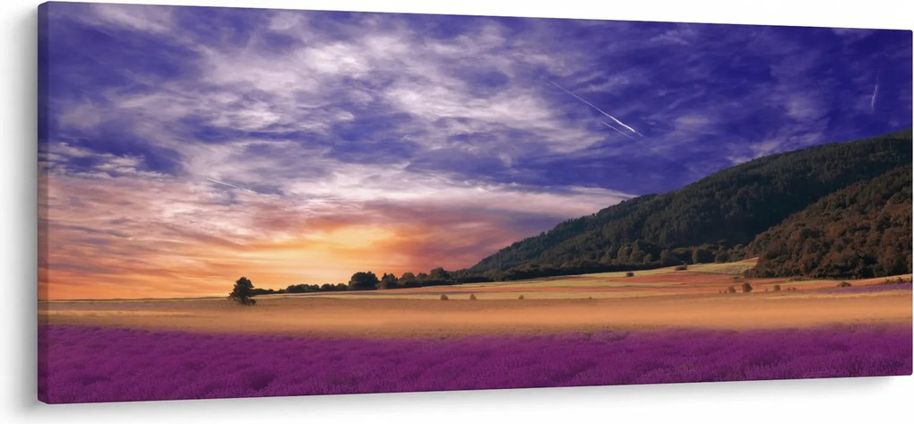 A levendula rét képe (120x50 cm)