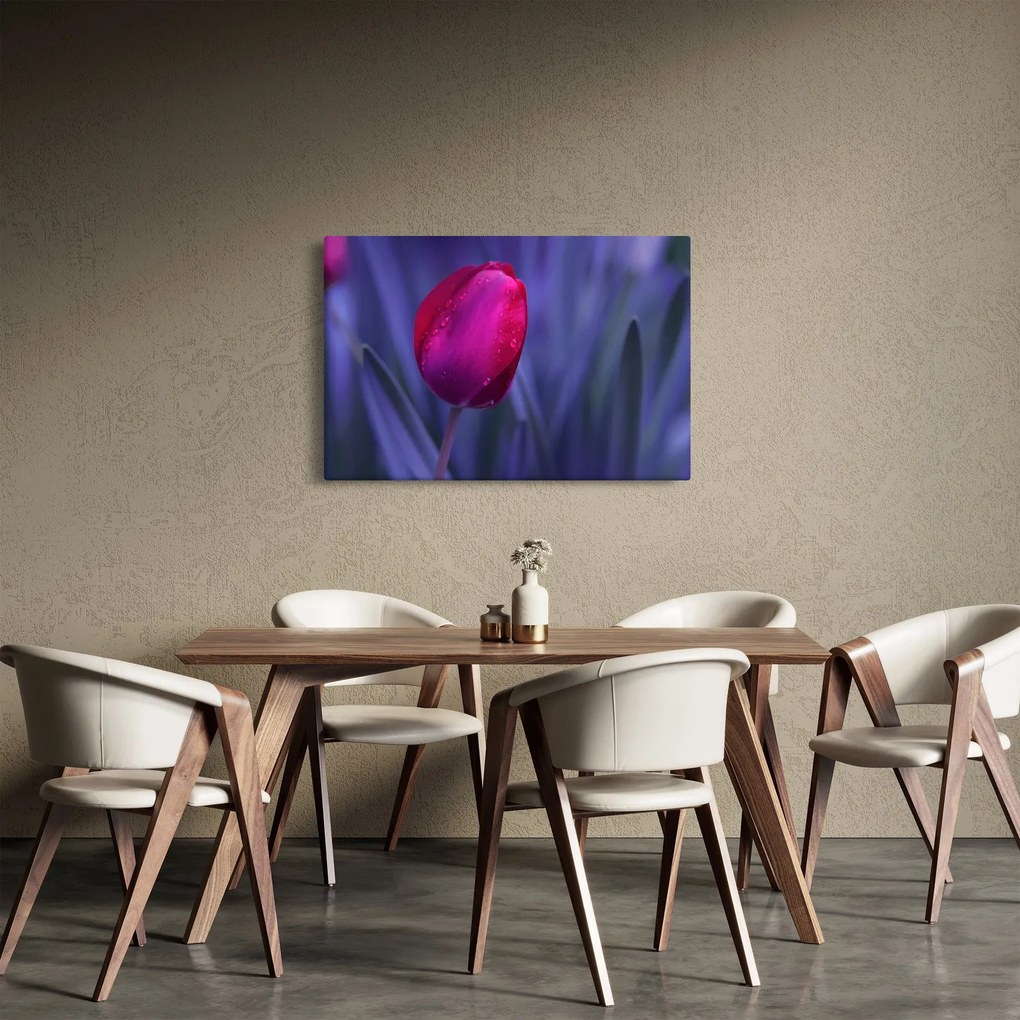 Tulipán bimbó képe (90x60 cm)