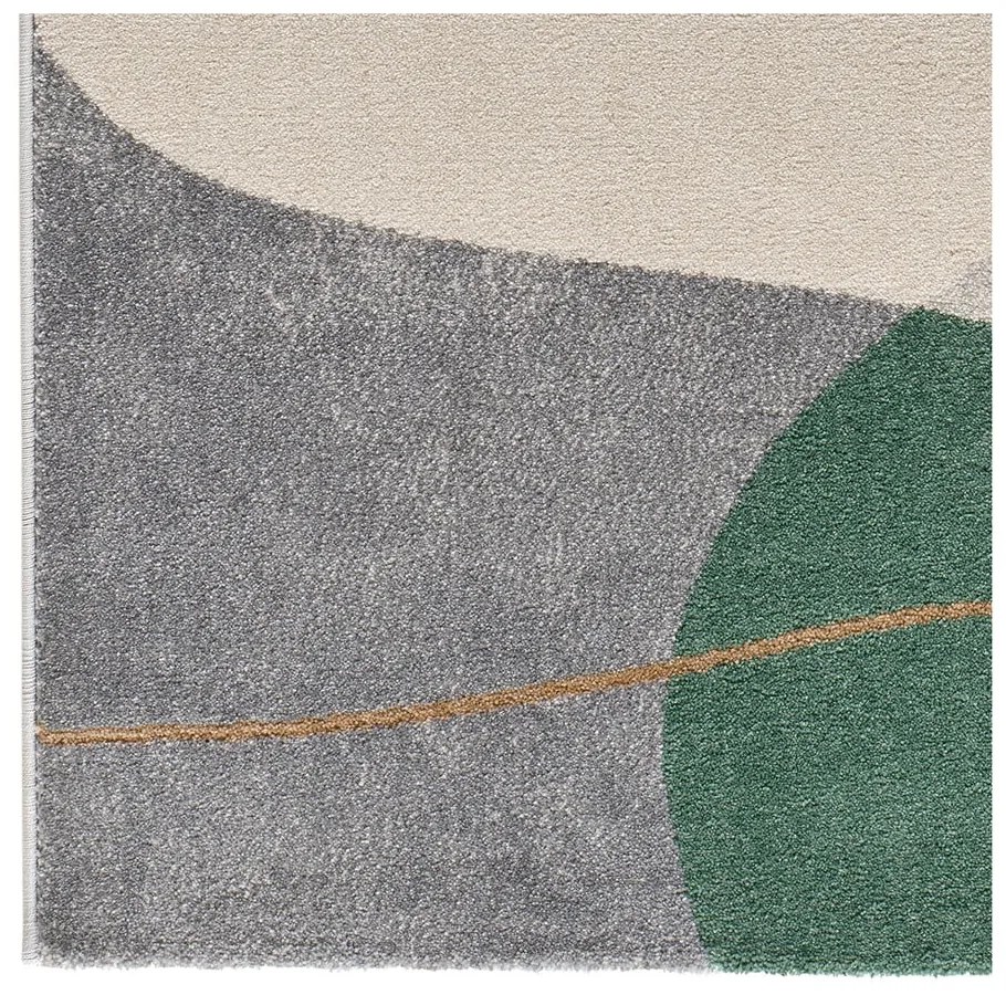 Zöld szőnyeg 120x170 cm Edesa – Universal