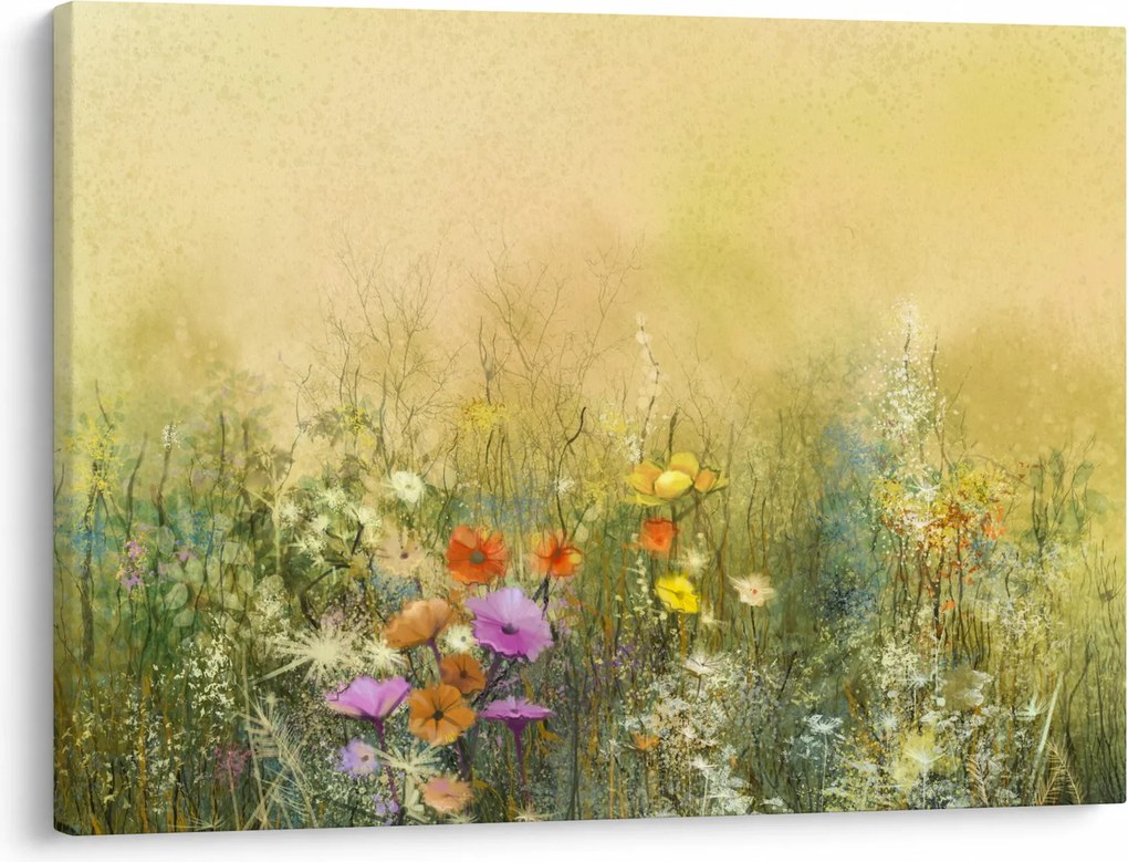 Kép - Festett rét (70x50 cm)
