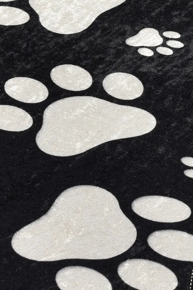 Paw előszobaszőnyeg, 60×100 cm
