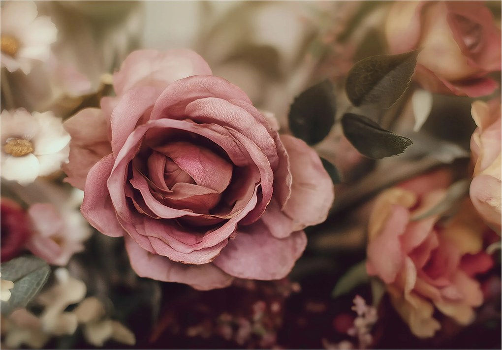 Fotótapéta Virágok Rózsák Természet Hálószoba Nappali Tapéta Flizelina 250x175