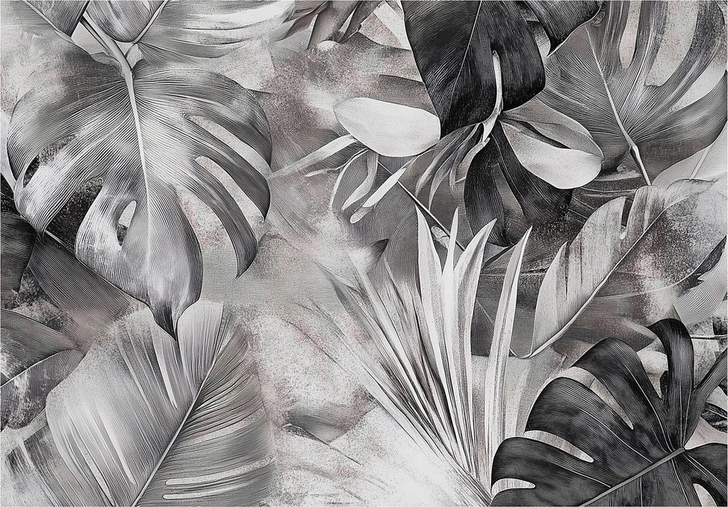 Fotótapéta Monster Levelek Fekete-fehér Falra Hálószoba Nappali 200x140