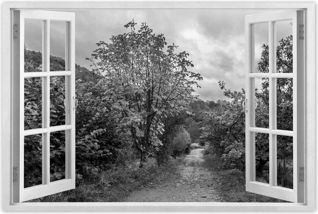 Poszterek 60x40 Őszi tájkép