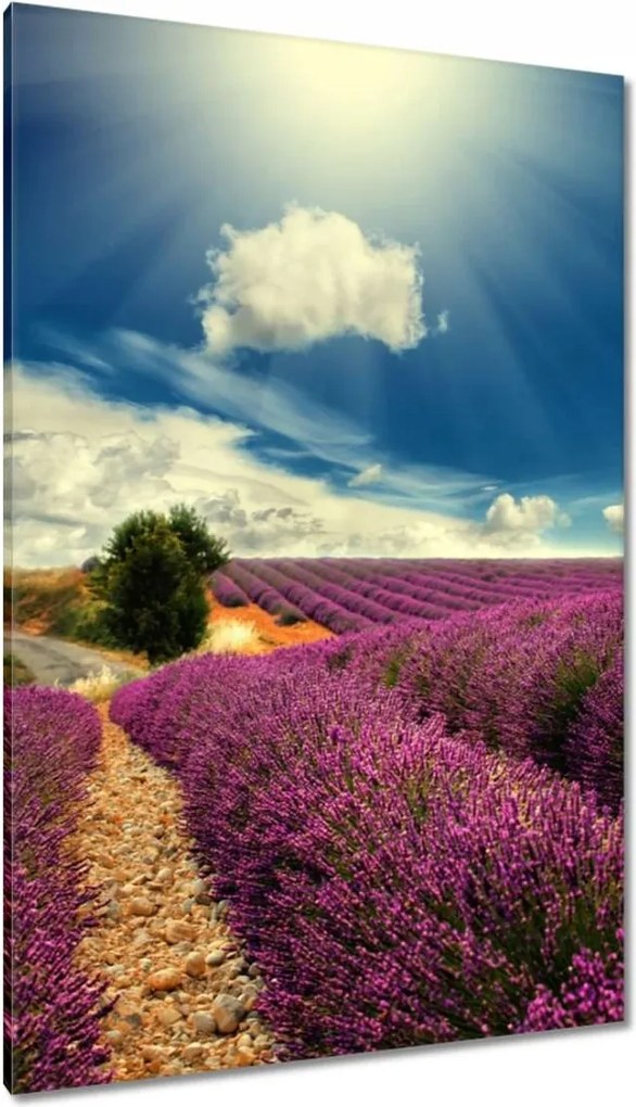 Vászonkép 80x120 Levendula tájkép