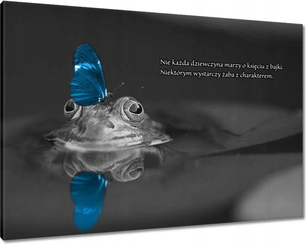 Vászonkép 100x70 Béka karakterrel