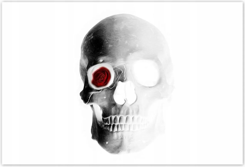 Poszterek 155x105 Koponya rózsával Rózsa