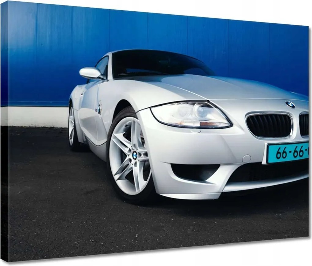 Vászonkép 40x30 Bmw Z4M Buma Autó