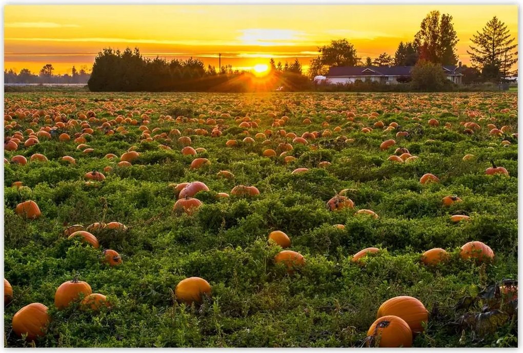 Poszterek 120x80 Tájkép Látvány