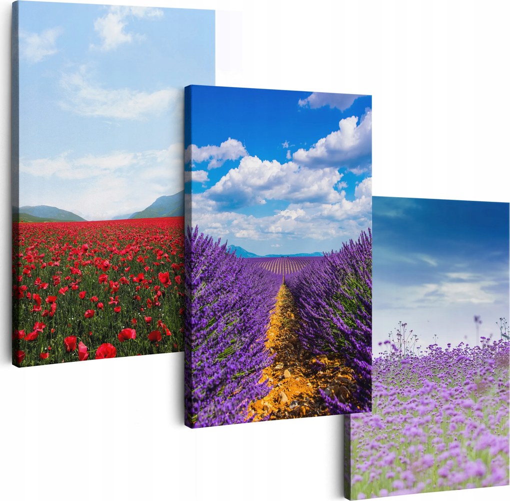 Vászonkép 150 cm **többféle minta** Nappali Képek Triptichon Virágok