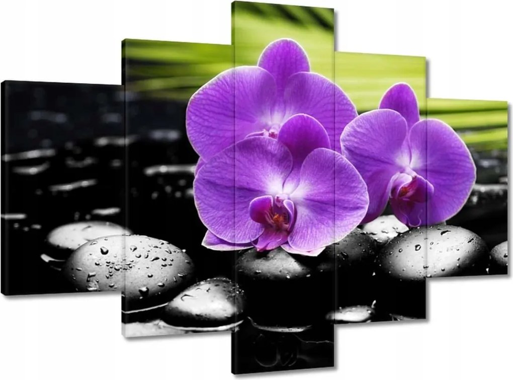 Festmények 150x105 Lila orchideák