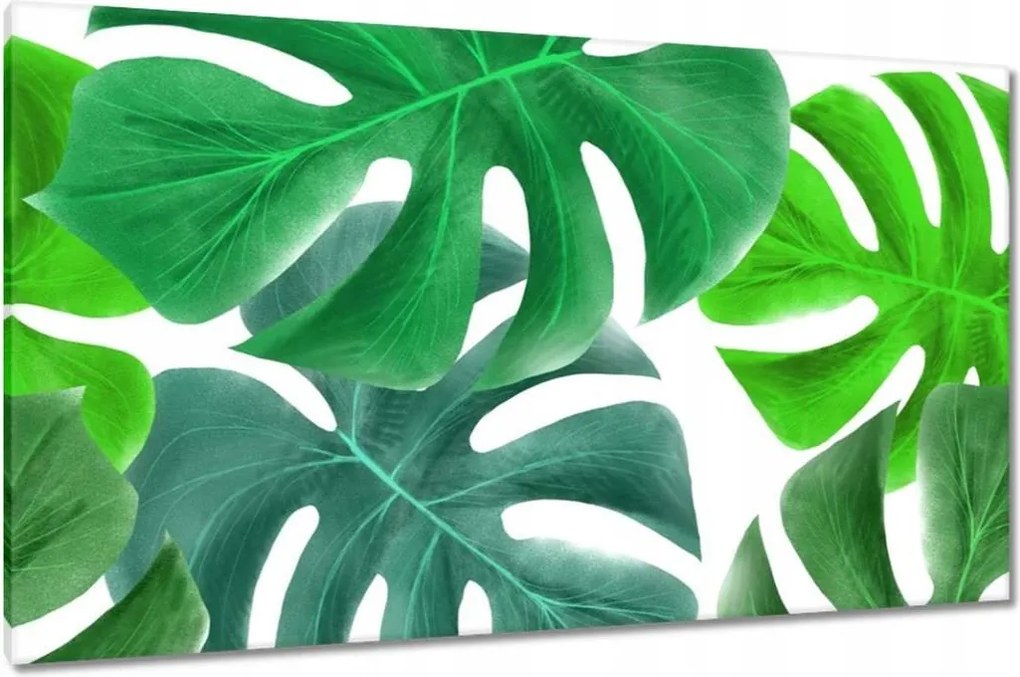 Vászonkép 120x70 Levelek Monstery Trópusok