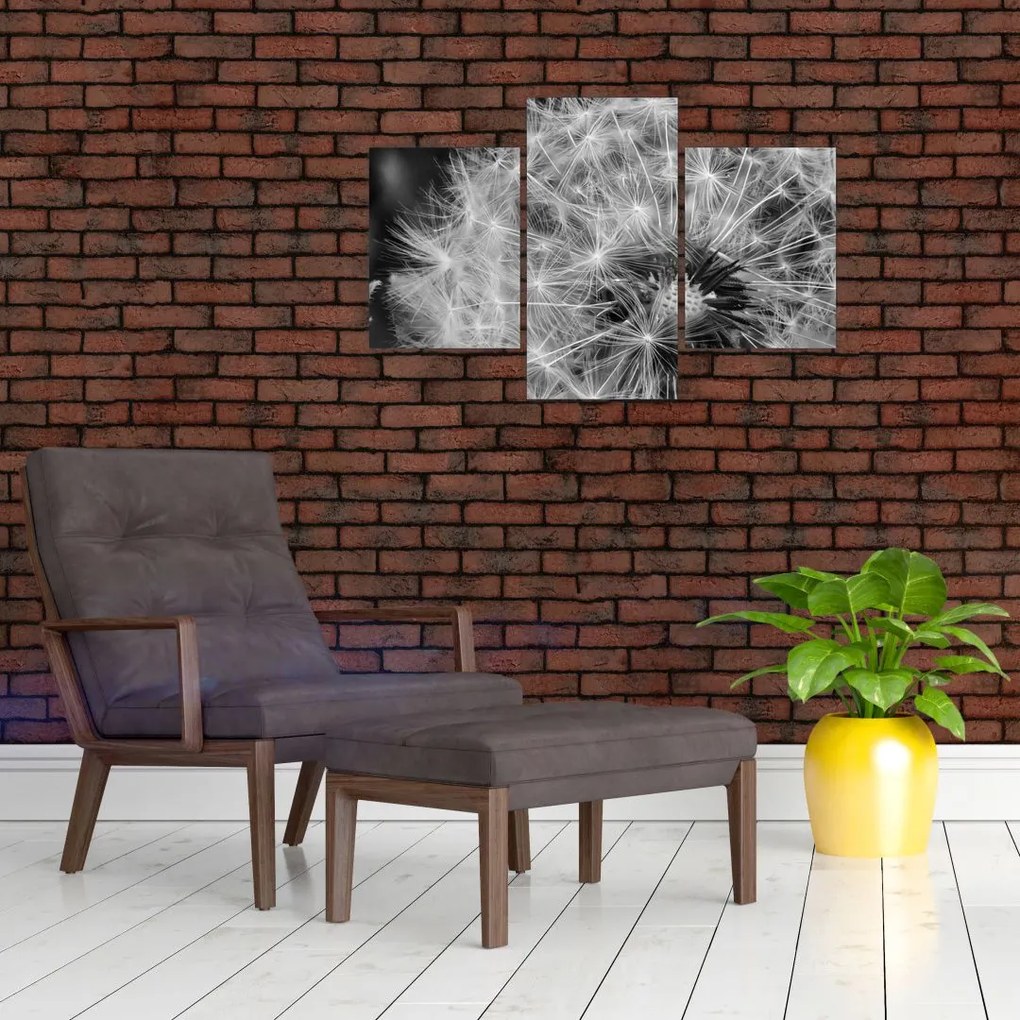 Kép - pitypang pehely (90x60 cm)