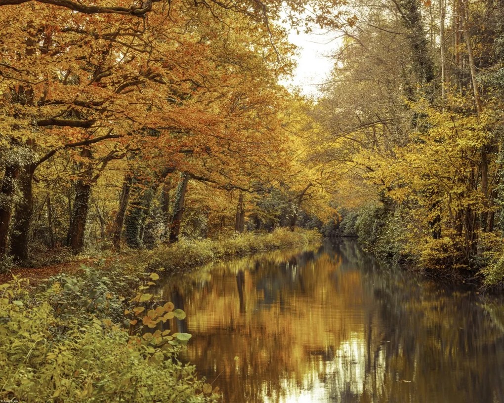 Poszter 50x40cm Csatorna az erdőn át 2, Assaf Frank