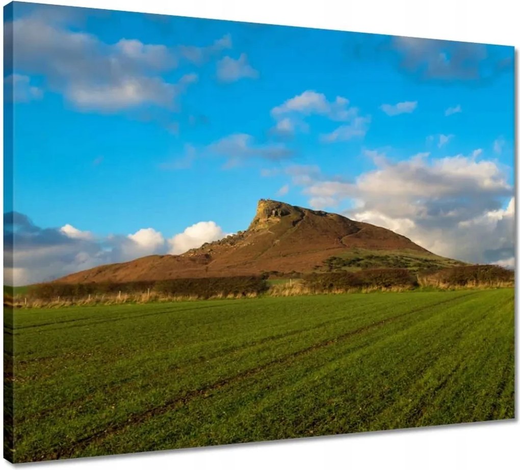 Vászonkép 50x40 Hegy a mező mögött