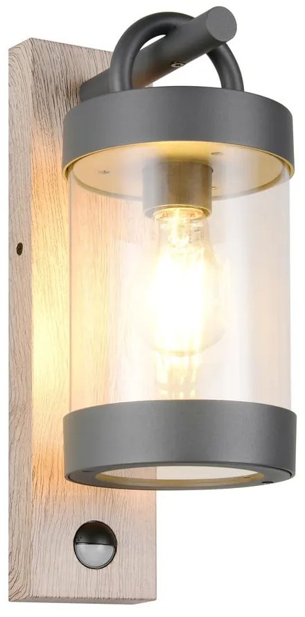 Fali kültéri lámpa (magasság 33 cm) Sambesi – Trio