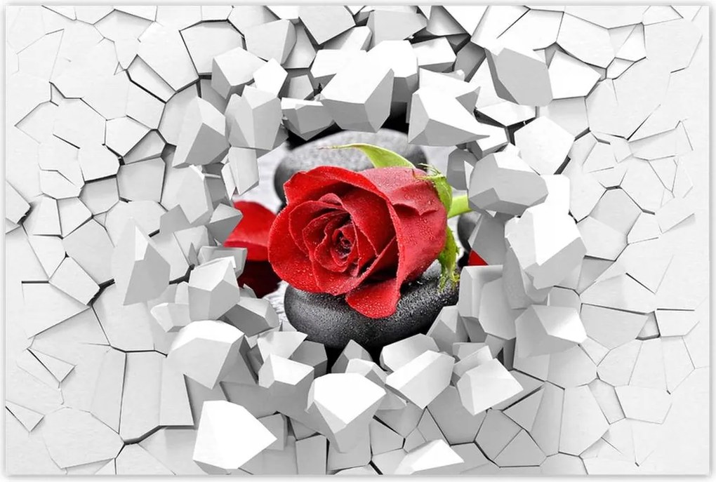 Poszterek 90x60 Vörös rózsa Neki