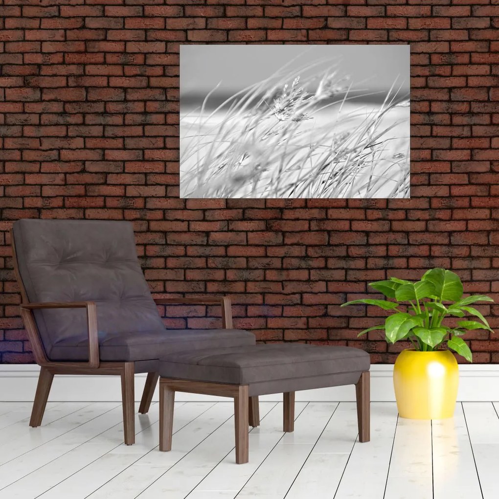 Kép - Strandfű (90x60 cm)