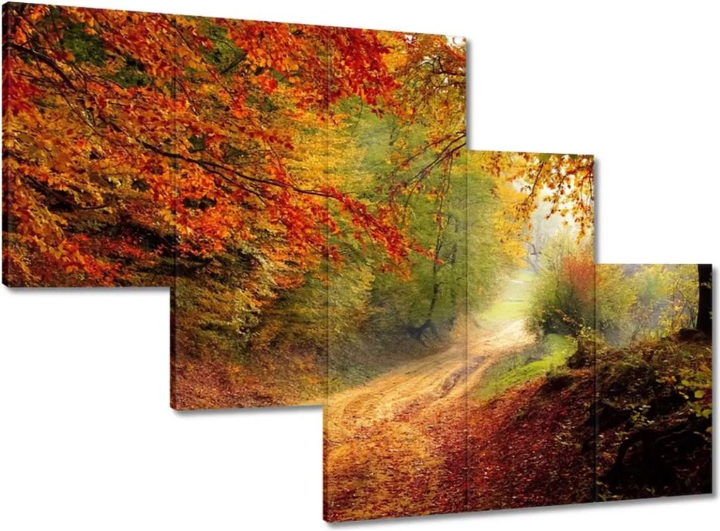 Képek 150x105 Út az erdőben ősz