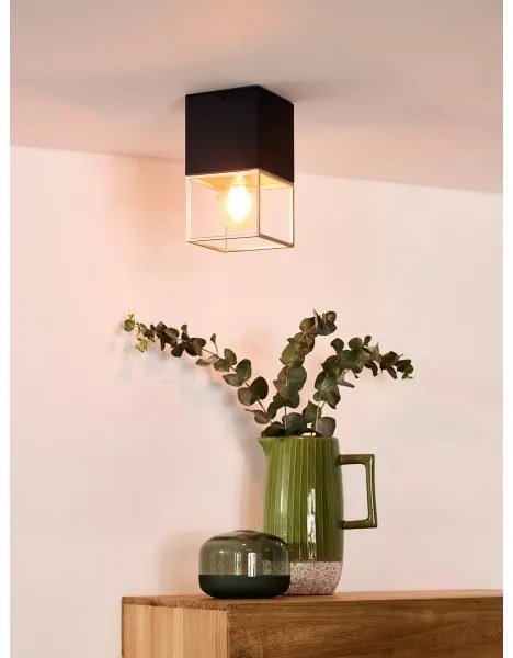 Lucide 21120/01/30 - Mennyezeti lámpa RIXT 1xE27/40W/230V