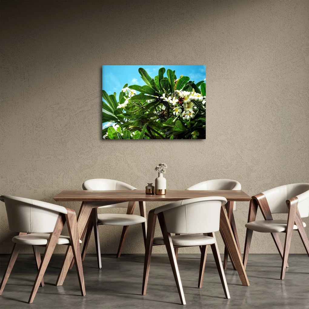 Kép - Plumeria (70x50 cm)