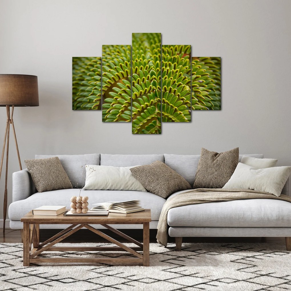 Kép - Fern (150x105 cm)