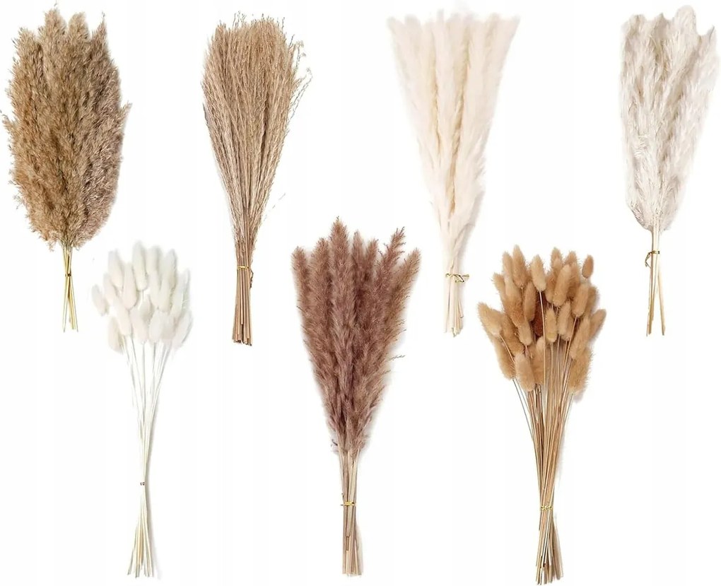 Díszfű Pampas Dekoratív Szárított Pampas Váza Fúvós Csokor