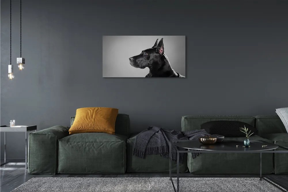 Canvas képek Fekete kutya 125x50 cm